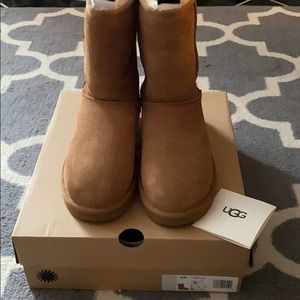 Brand new chestnut classic short Uggs!